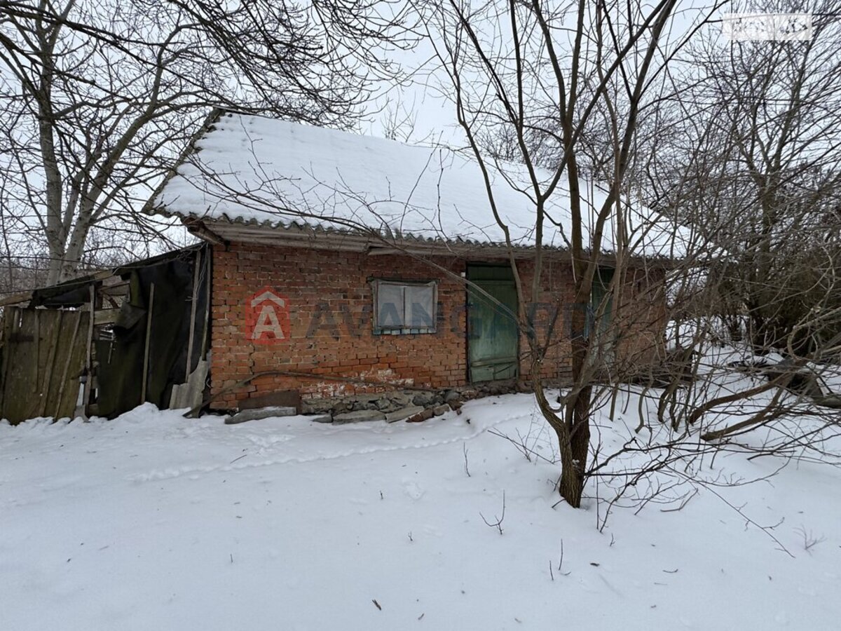 �������, 52 ��.�. ���� 8