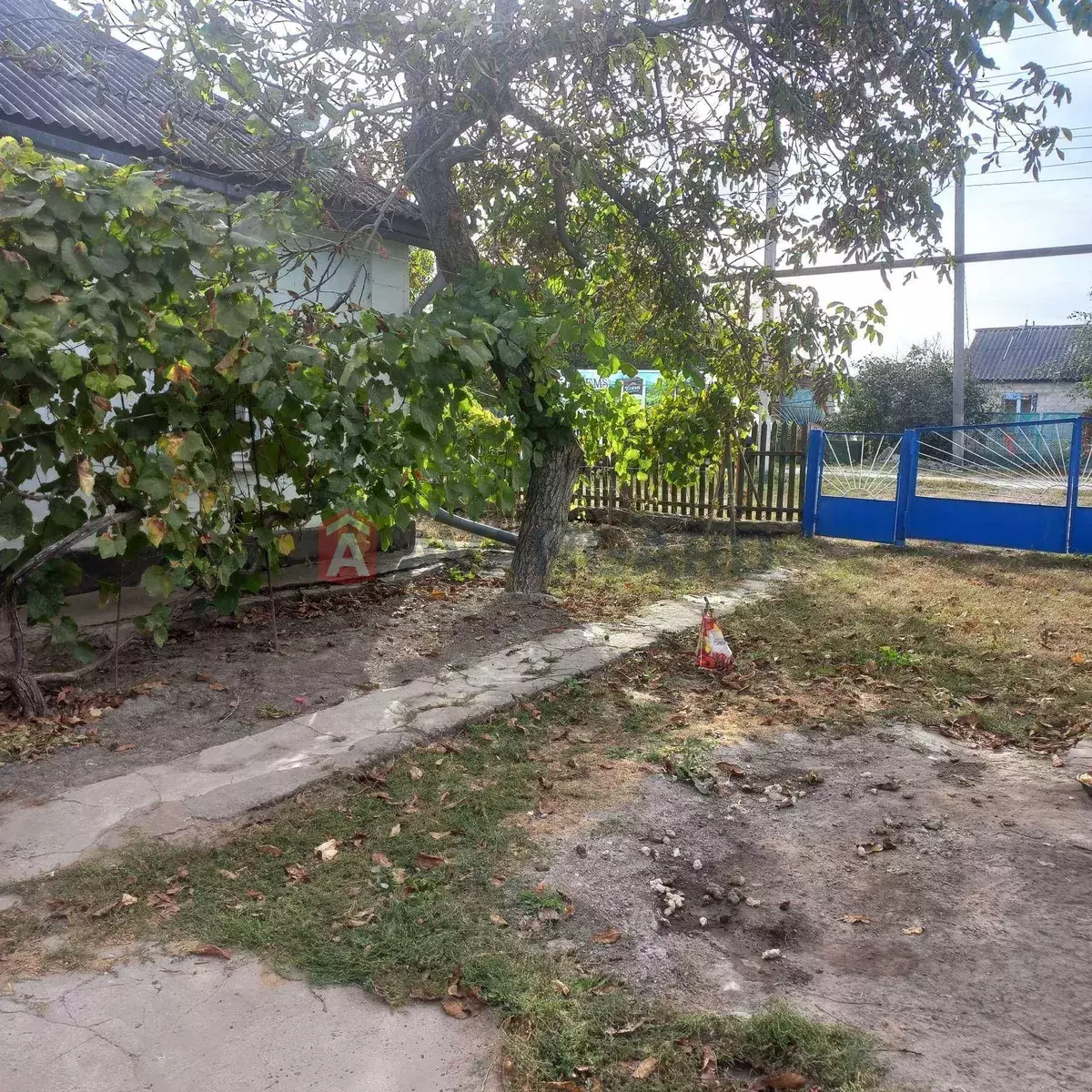 �������, 58 ��.�. ���� 22