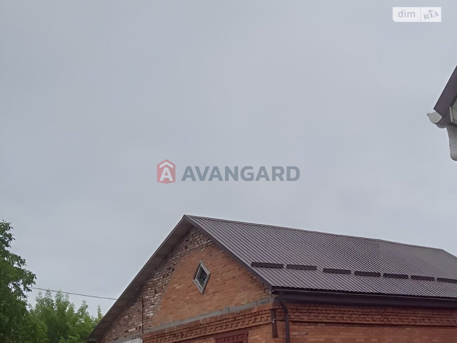 �������, 100 ��.�. ���� 1