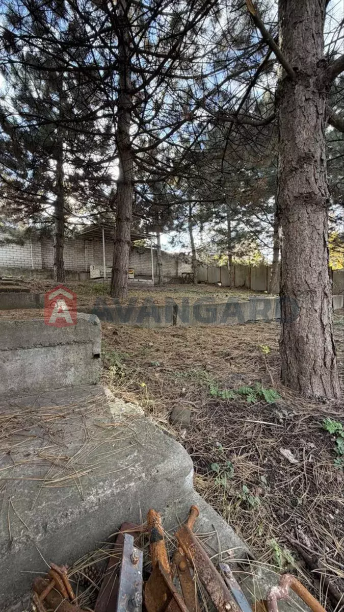 �������, 200 ��.�. ���� 23