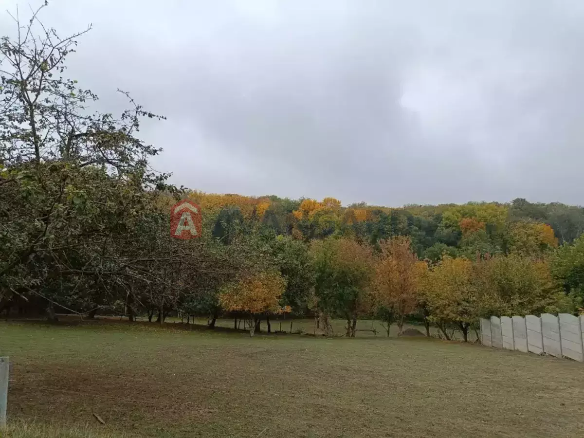 �������, 230 ��.�. ���� 3