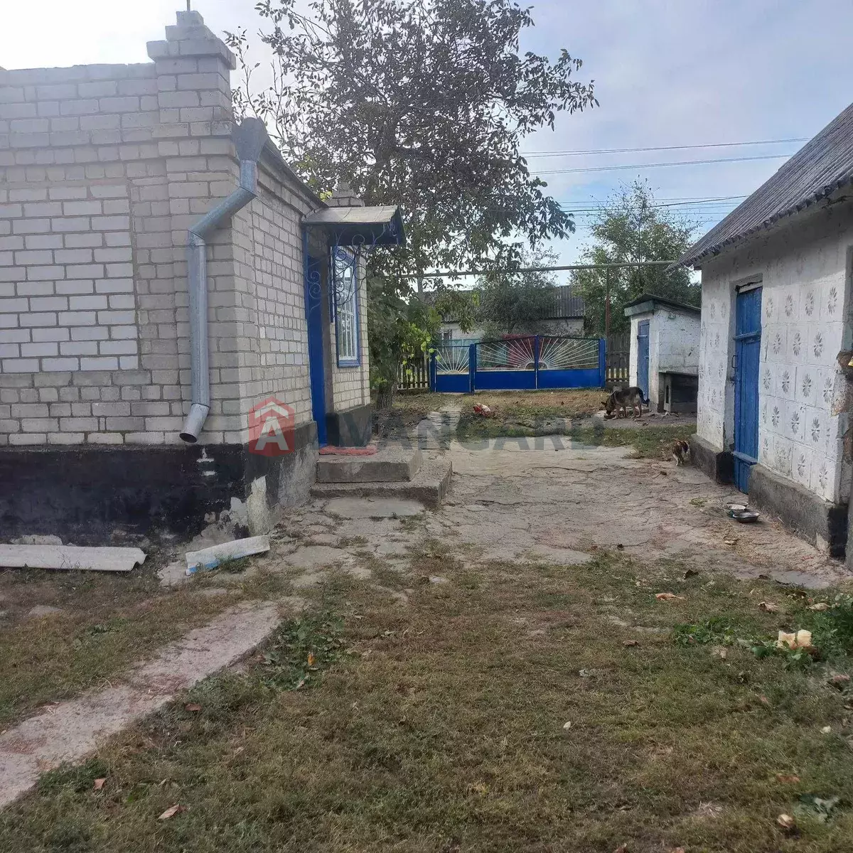 �������, 58 ��.�. ���� 7