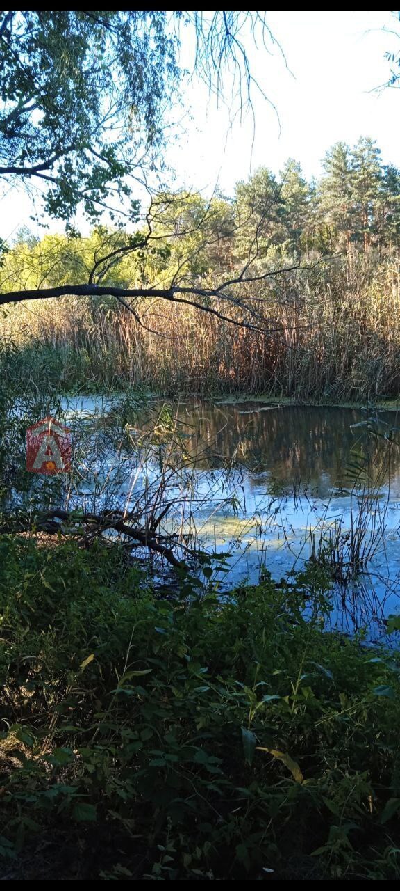 �������, 55 ��.�. ���� 14