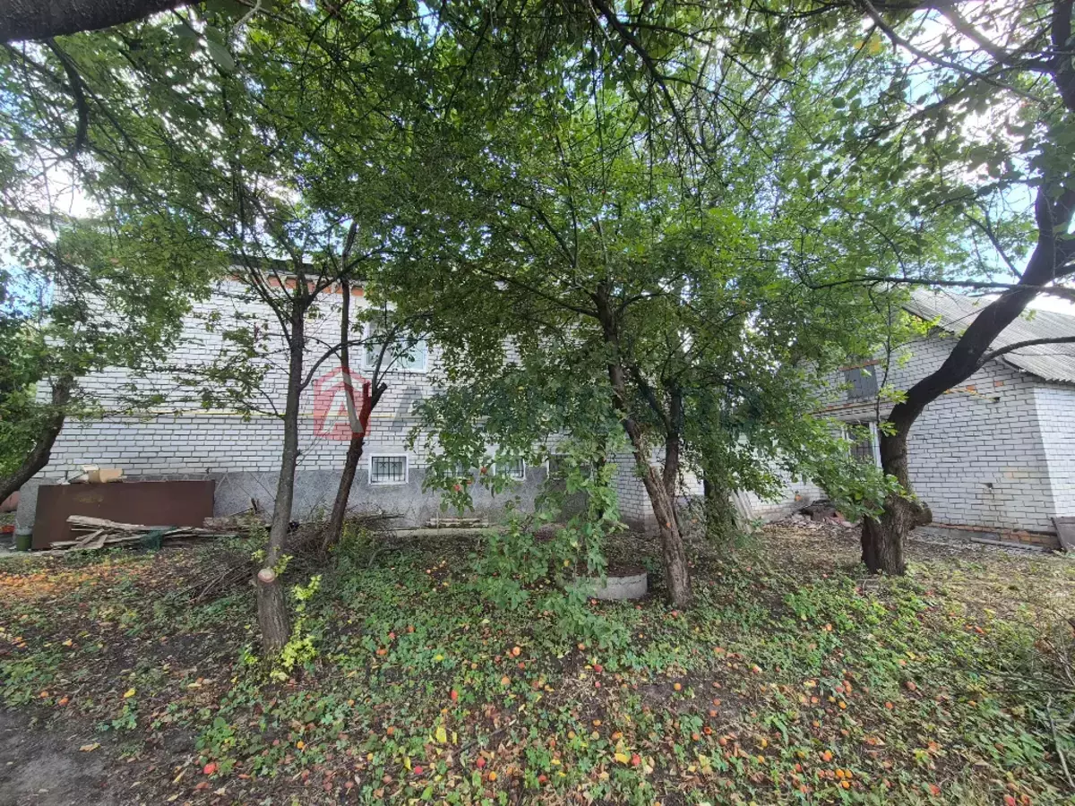 ���, 280 ��.�. ���� 7