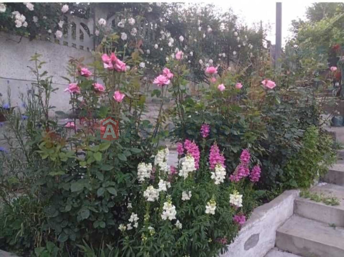 ������� �������, 38 ��.�. ���� 20