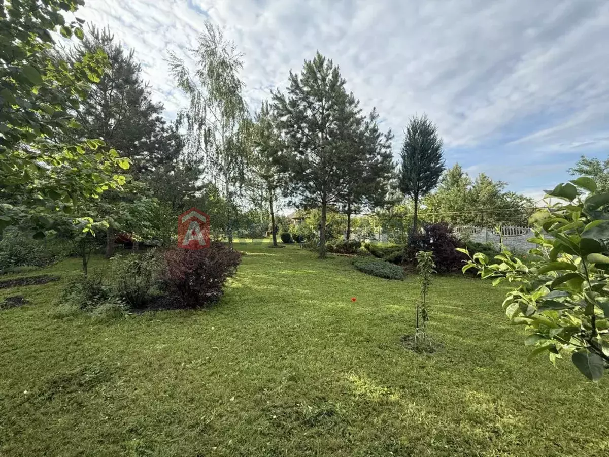 ����, 42 ��.�. ���� 8