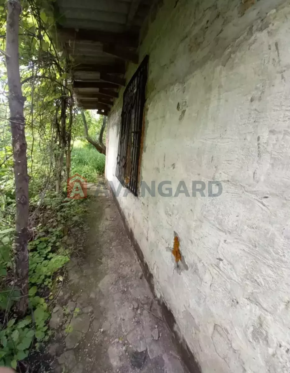 ����, 18 ��.�. ���� 2