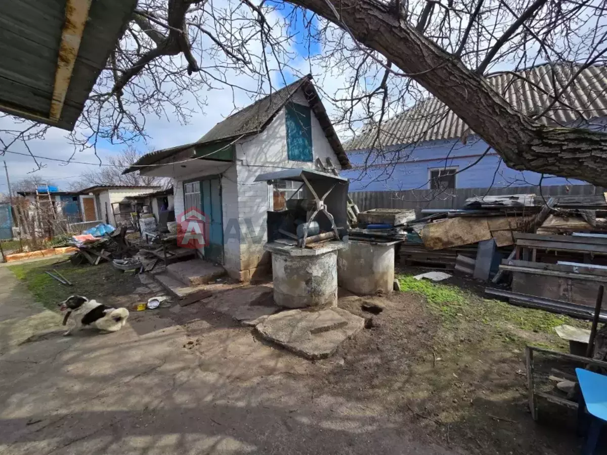 �������, 61 ��.�. ���� 25