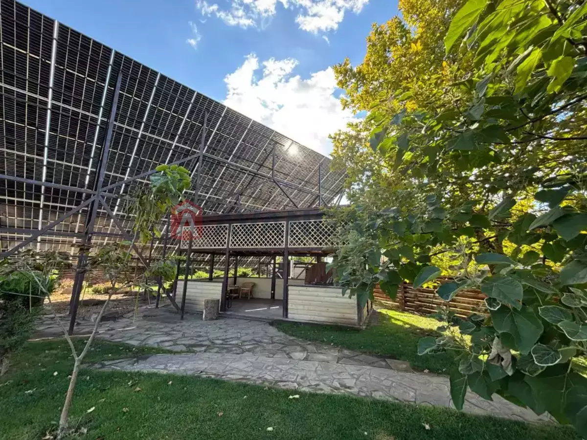 �������, 229 ��.�. ���� 15