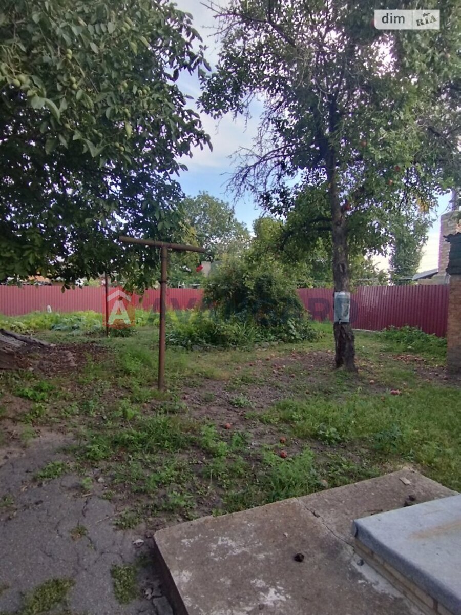 �������, 102 ��.�. ���� 19