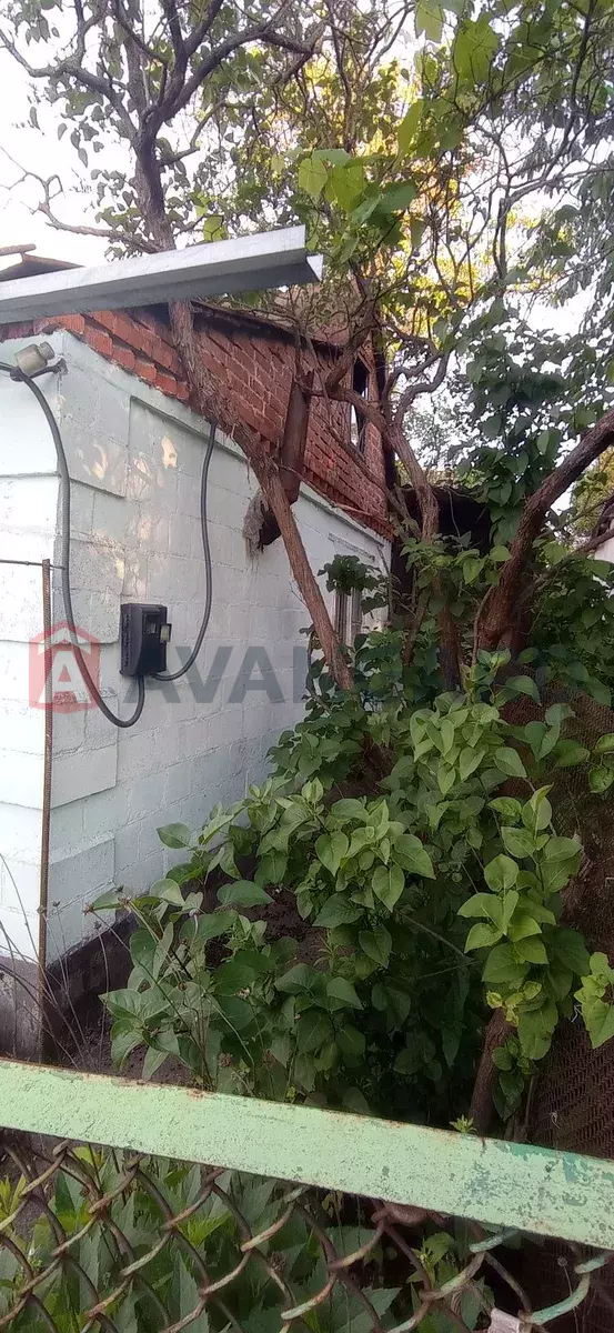 ����, 23 ��.�. ���� 4