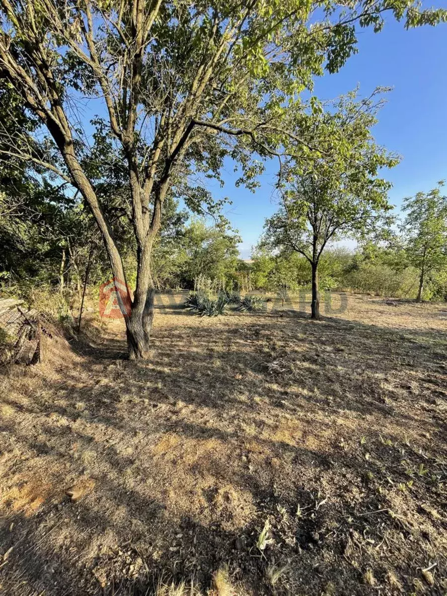 ����, 119 ��.�. ���� 12