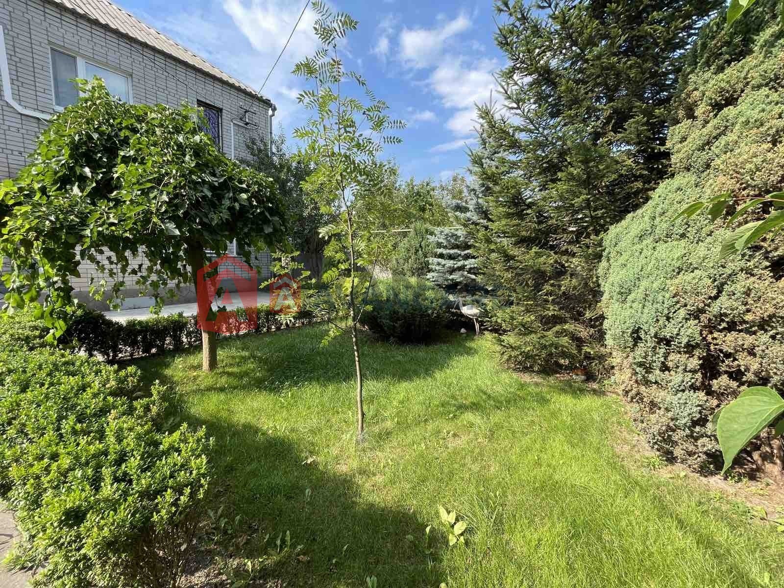 �������, 195 ��.�. ���� 5