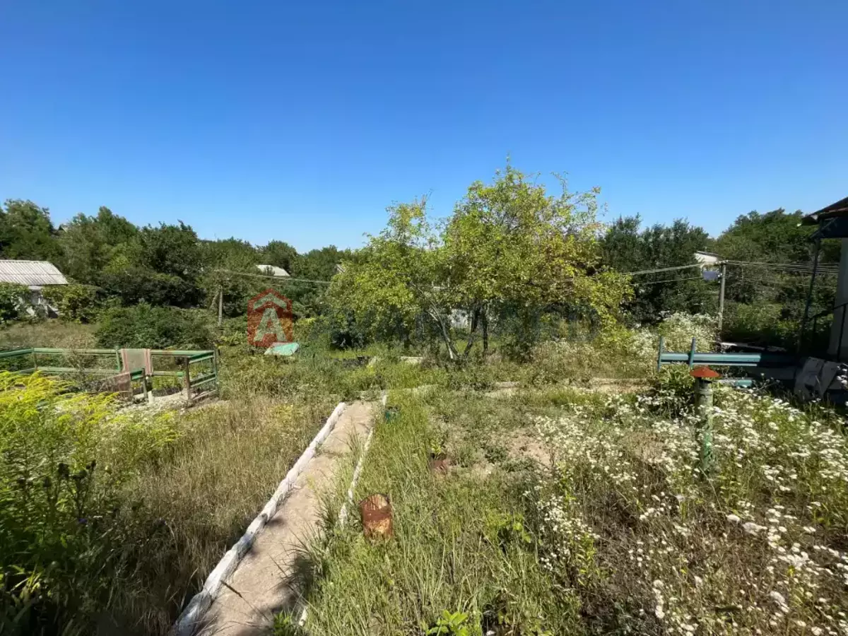 ����, 48 ��.�. ���� 7