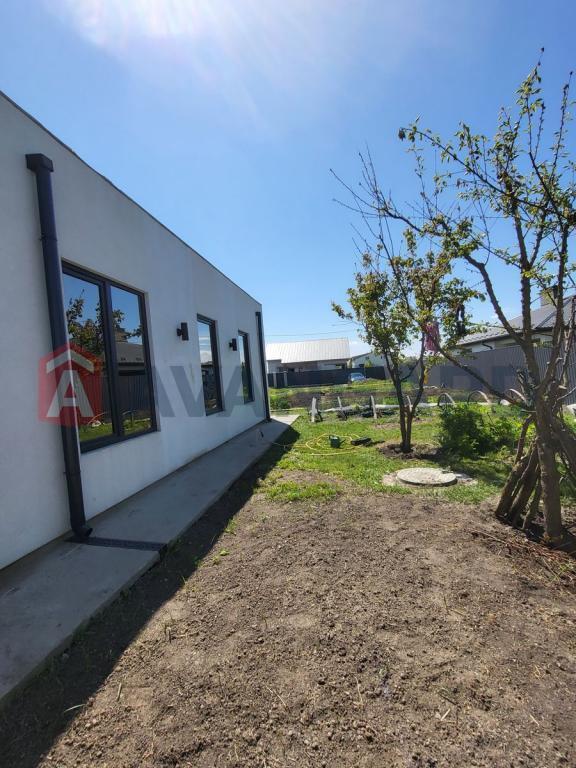 �������, 86 ��.�. ���� 20