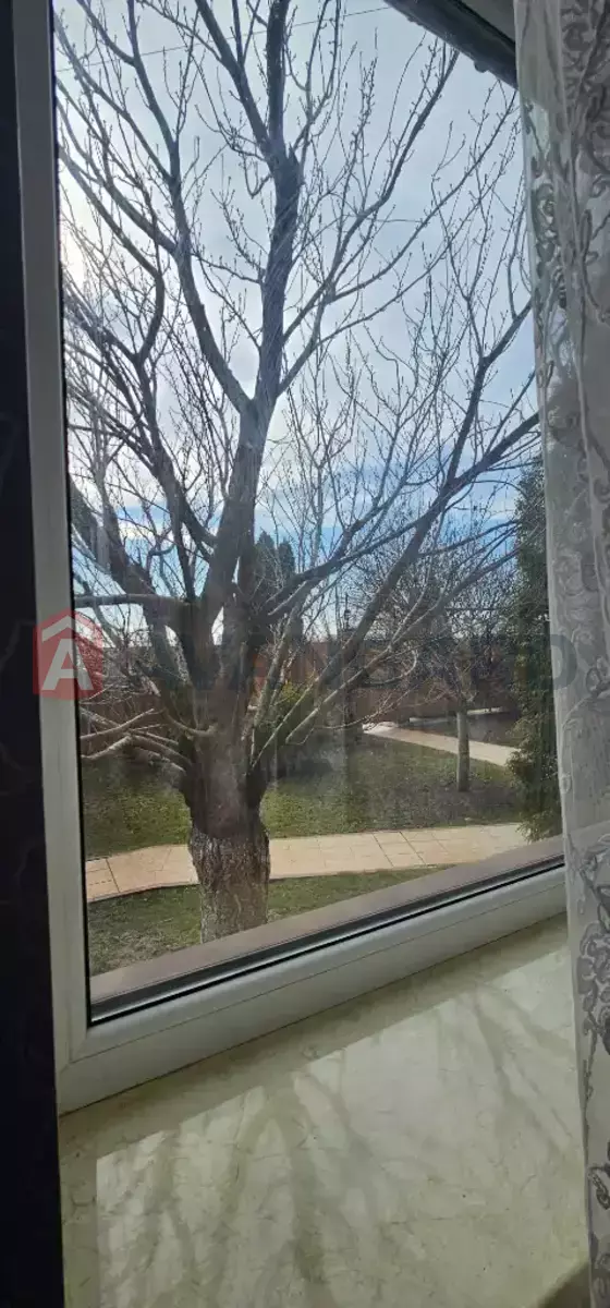 �������, 202 ��.�. ���� 20