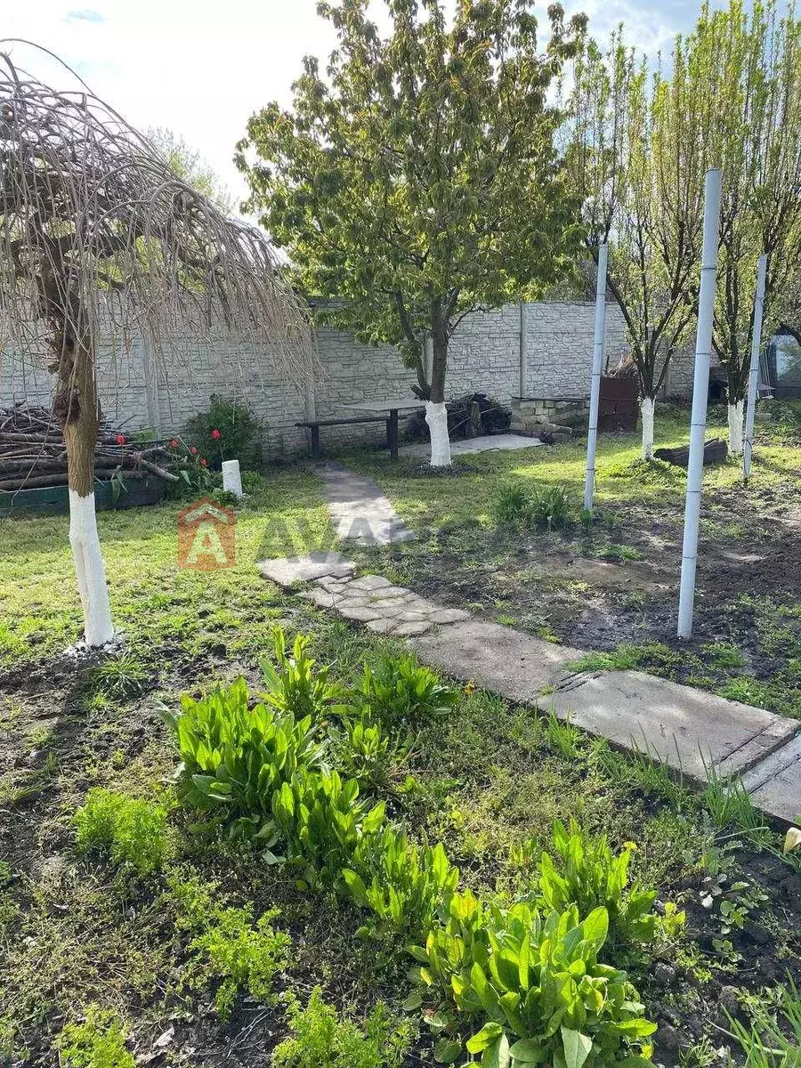 ����, 46 ��.�. ���� 8