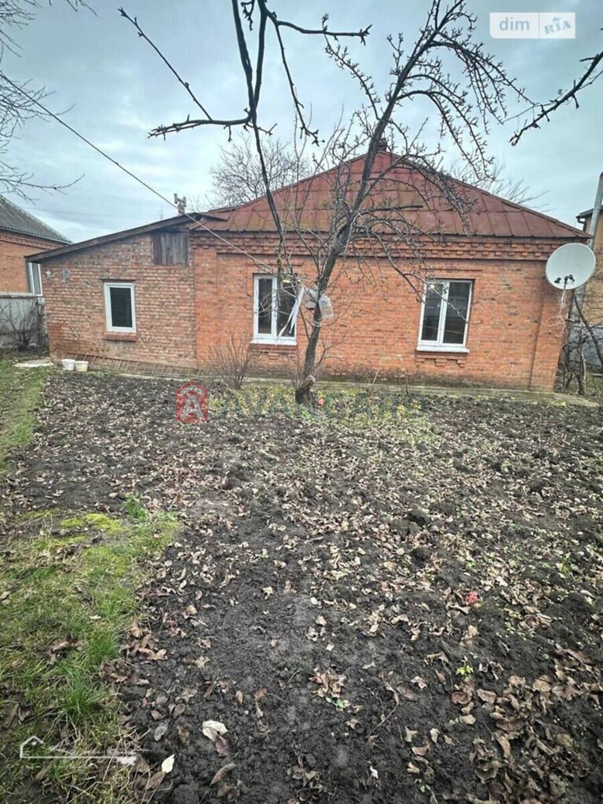 �������, 79 ��.�. ���� 3