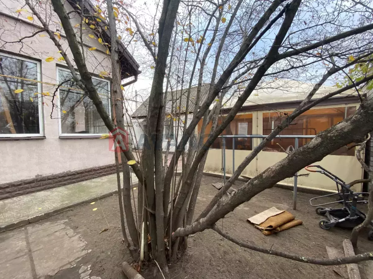 �������, 92 ��.�. ���� 2