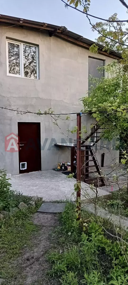 �������, 32 ��.�. ���� 5