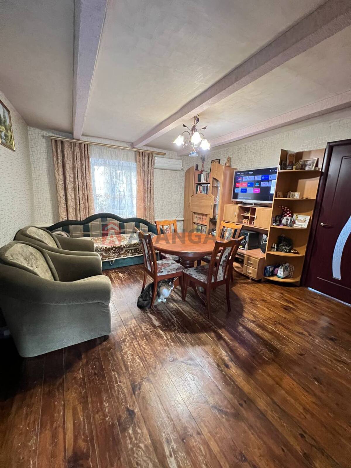 �������, 55 ��.�. ���� 12