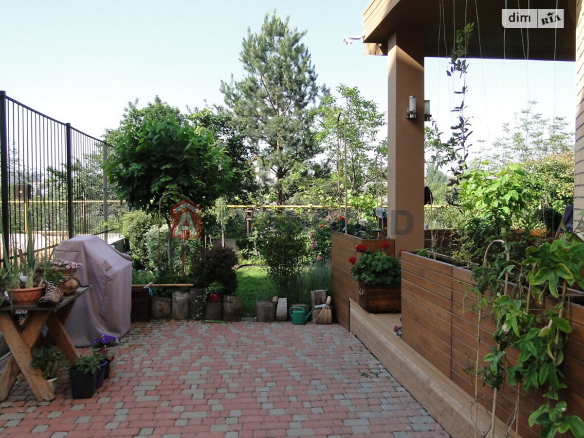 �������, 97 ��.�. ���� 19