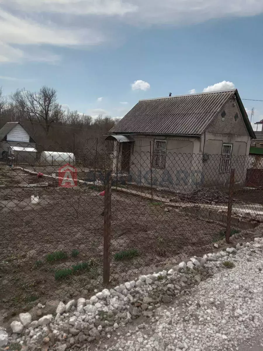 ����, 25 ��.�. ���� 1