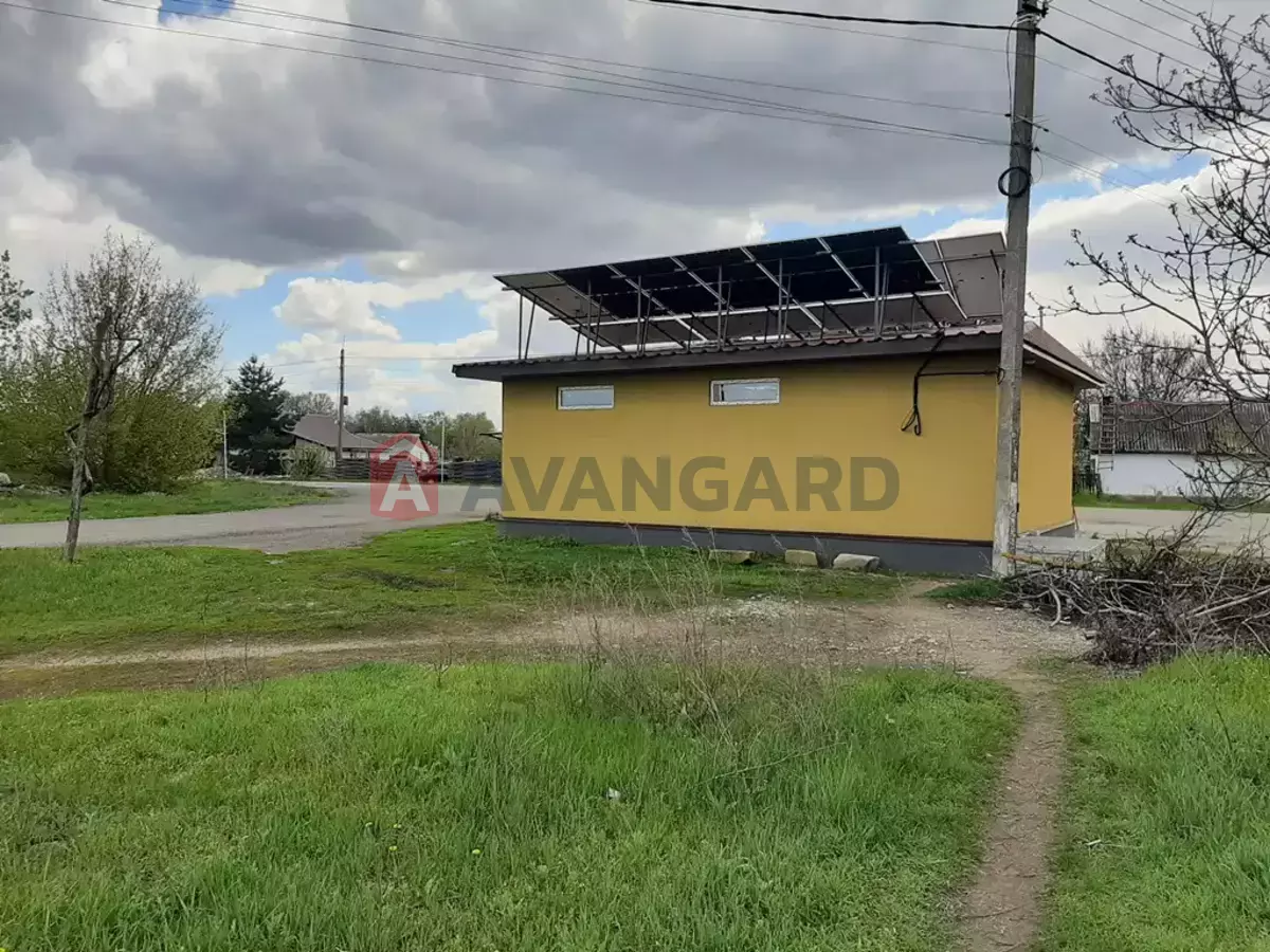 ���������� �����, 50 ��.�. ���� 2