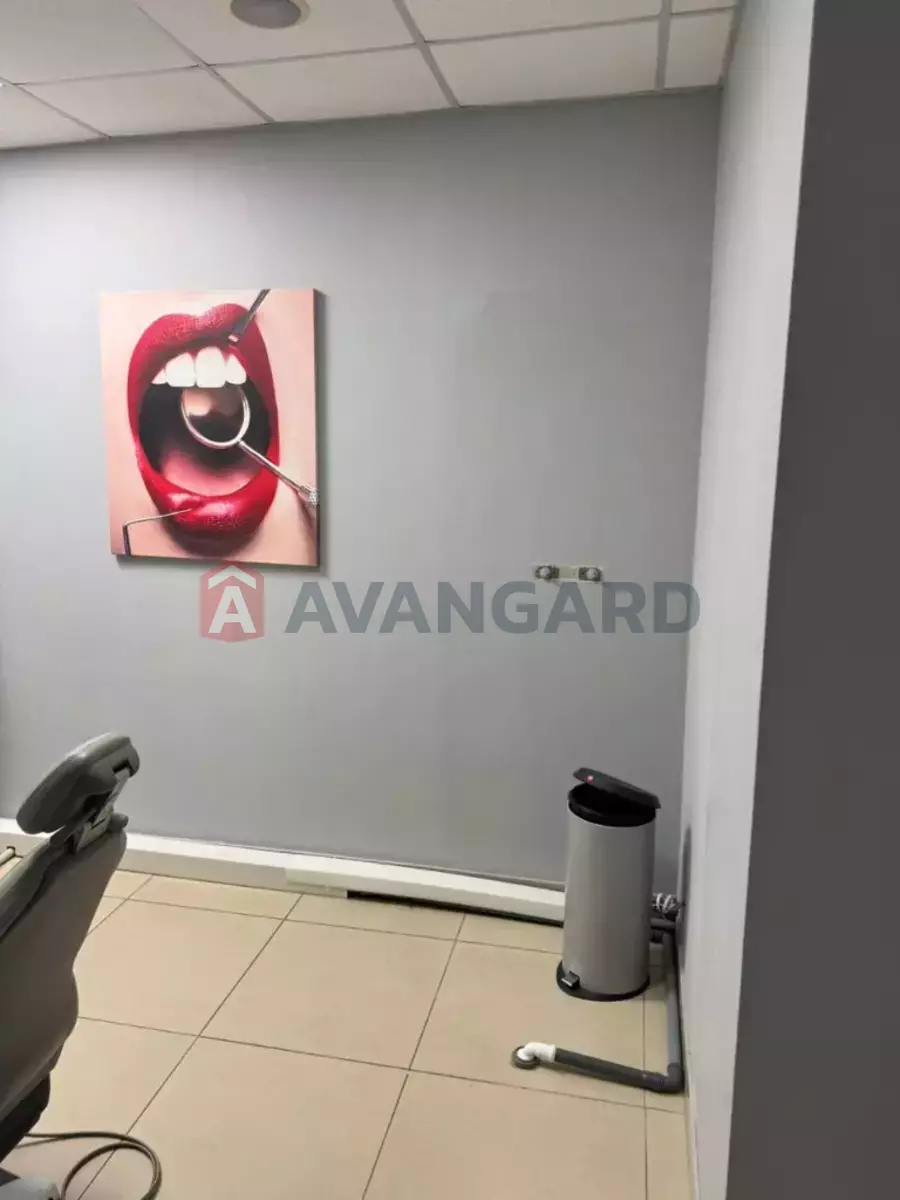 ���������� �����, 97 ��.�. ���� 12