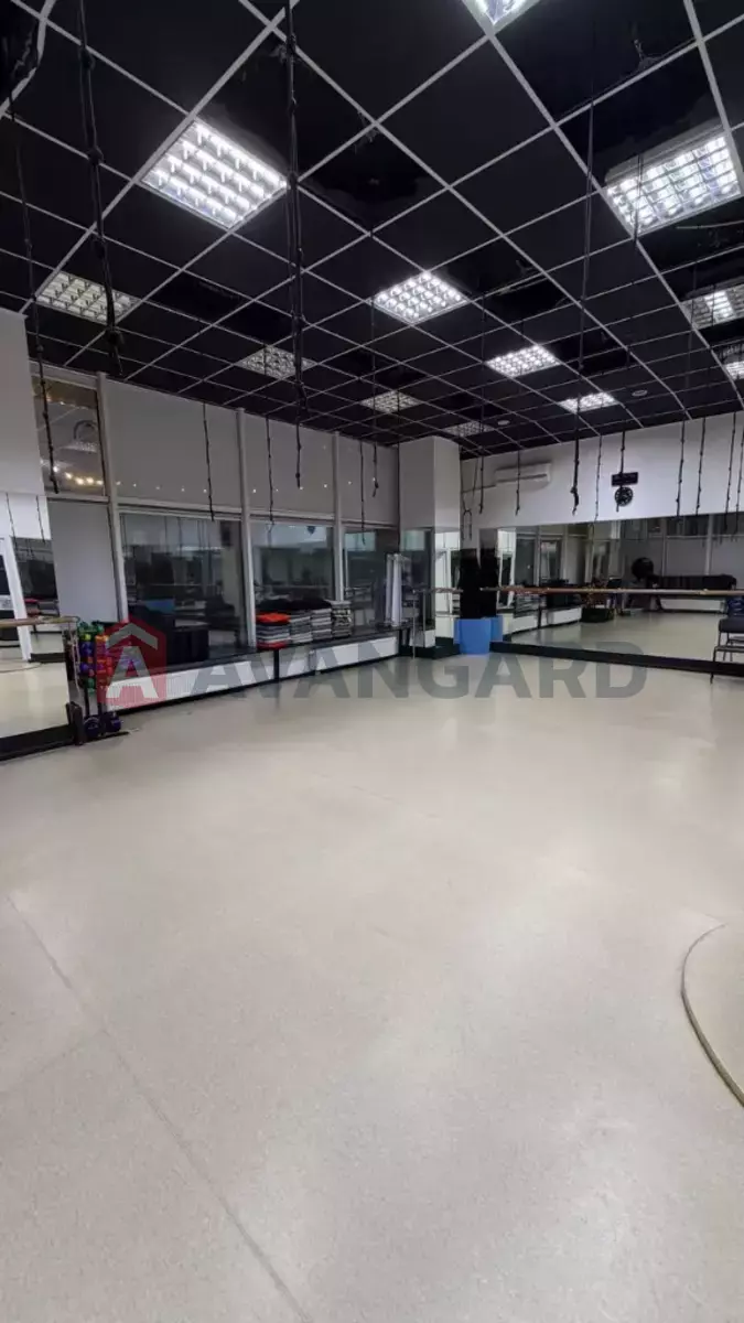 ����, ���, ��������, 415 ��.�. ���� 7