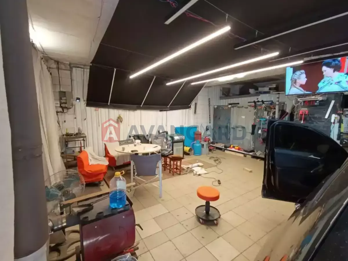 ����� �����, 80 ��.�. ���� 3