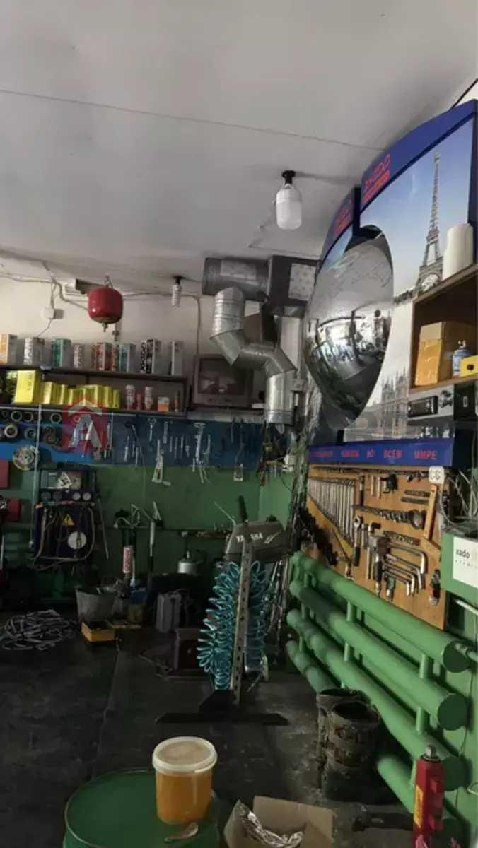 ����� ������, 95 ��.�. ���� 10