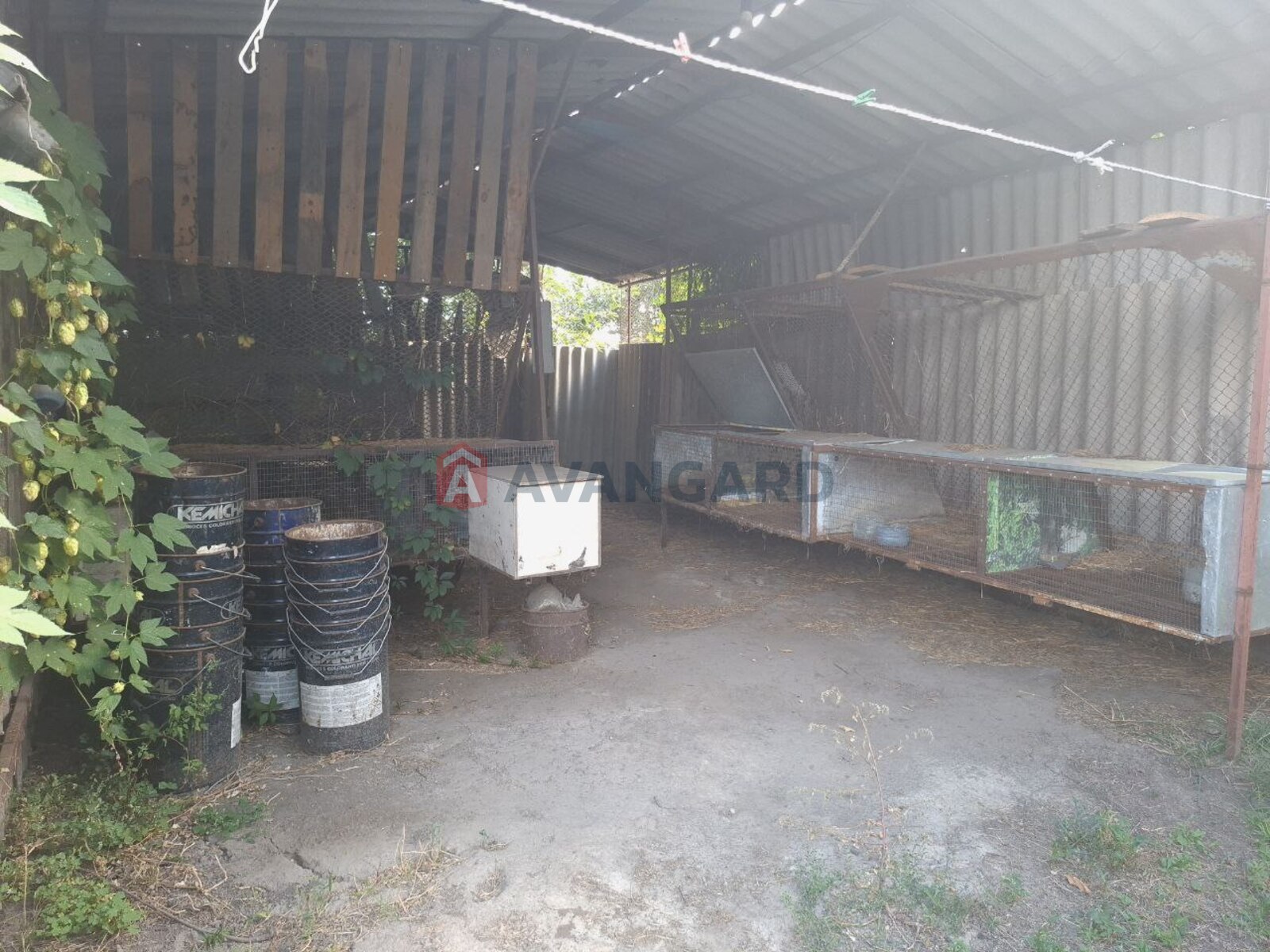 ���������� �����, ����� ������, 335 ��.�. ���� 19