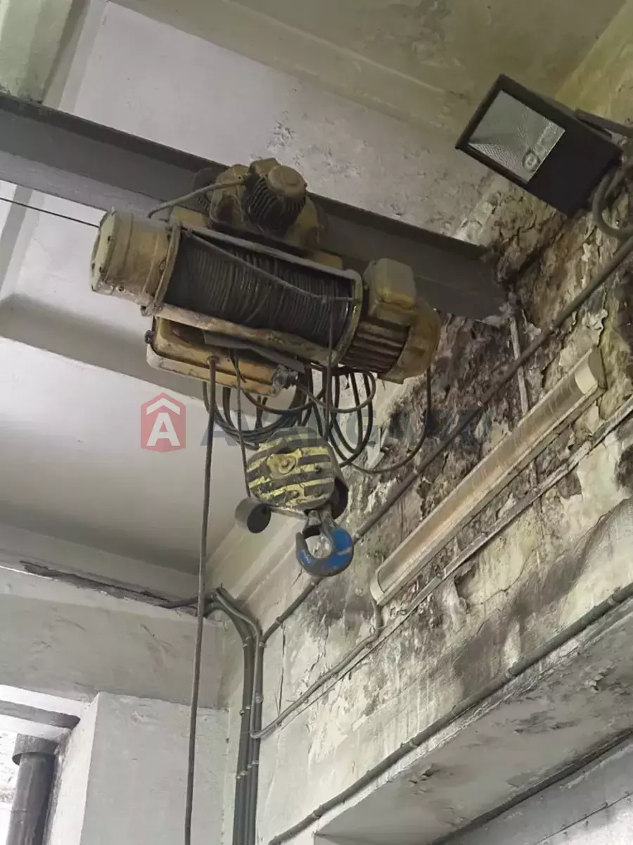 ����� ������, 730 ��.�. ���� 14