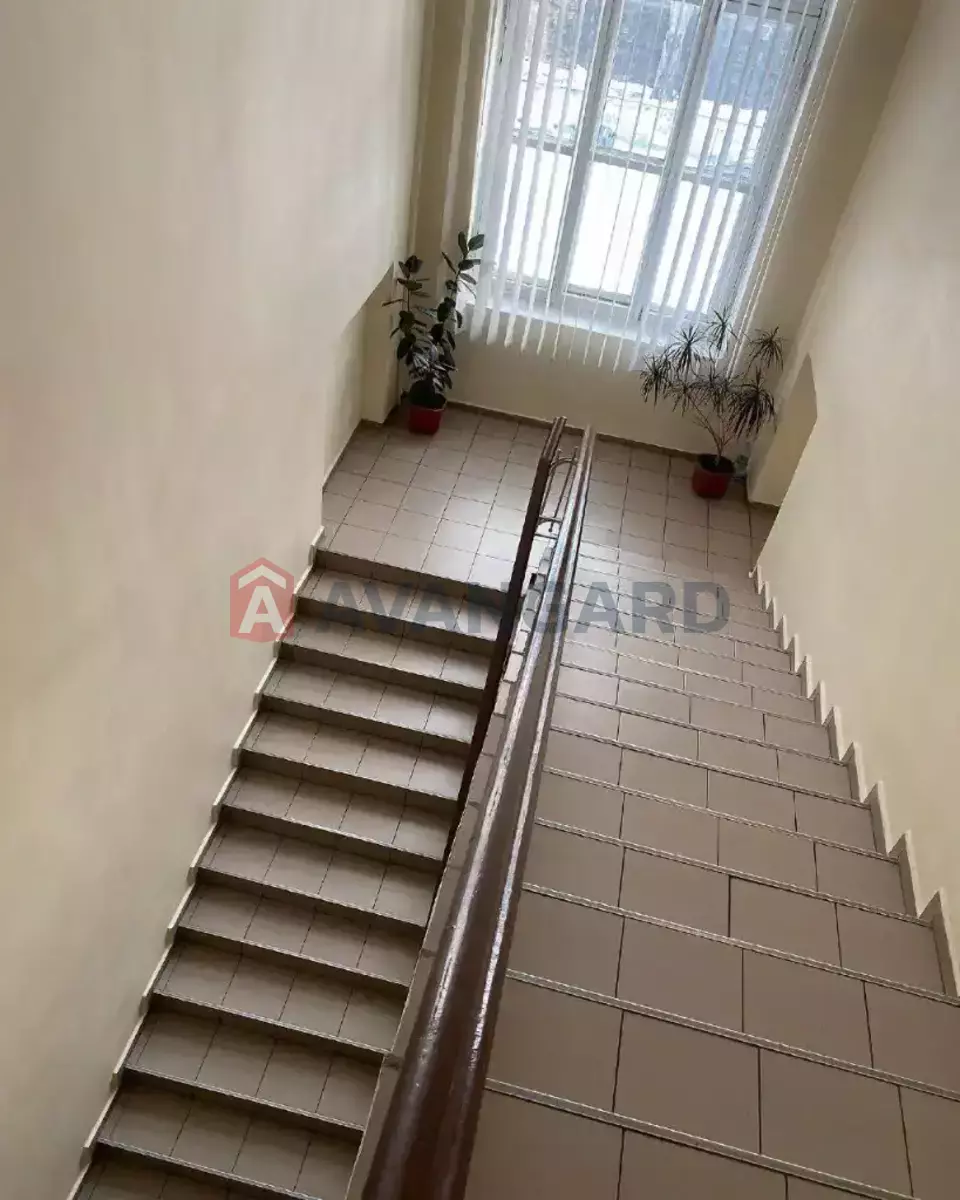 ����, ���, ��������, 12 ��.�. ���� 21