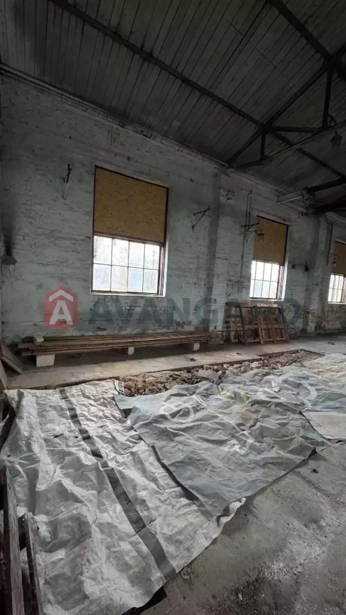 ���������� �����, 325 ��.�. ���� 18