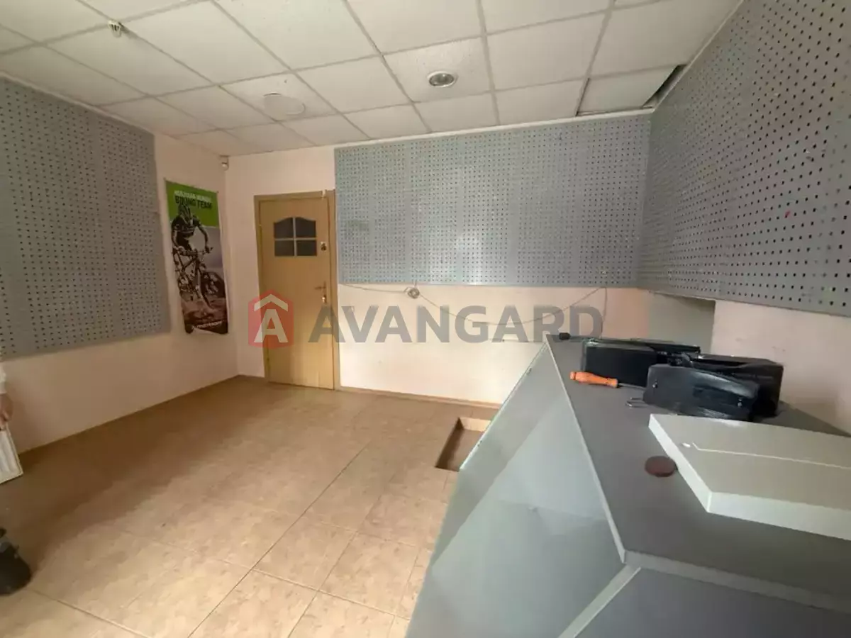 �������� �������, 131 ��.�. ���� 3