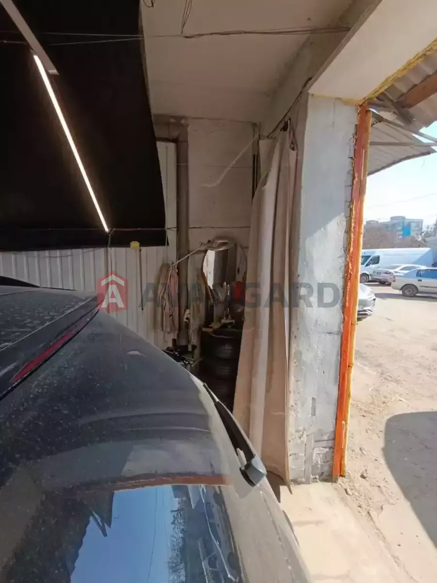 ����� �����, 80 ��.�. ���� 11