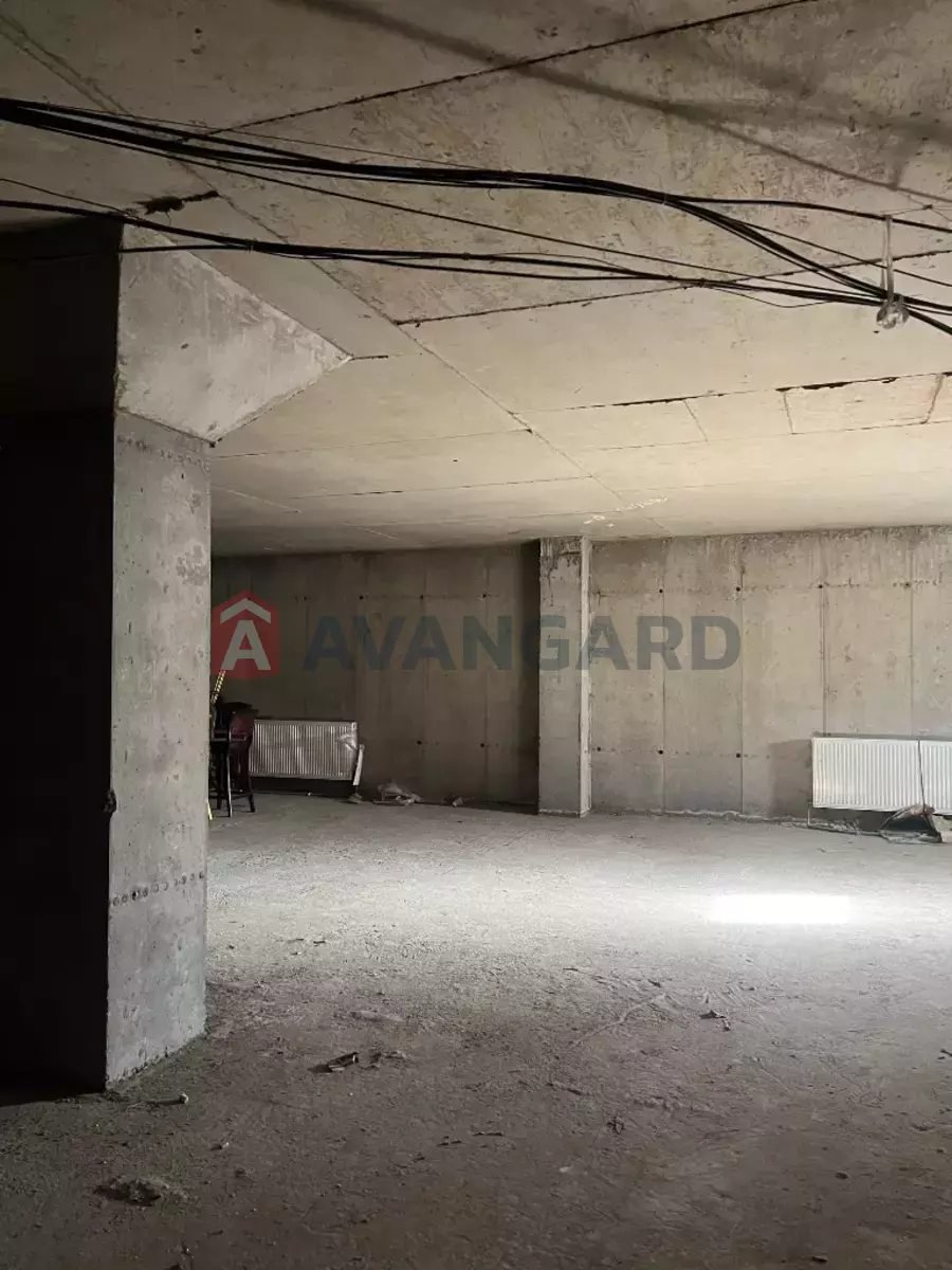 ���������� �����, 1200 ��.�. ���� 8