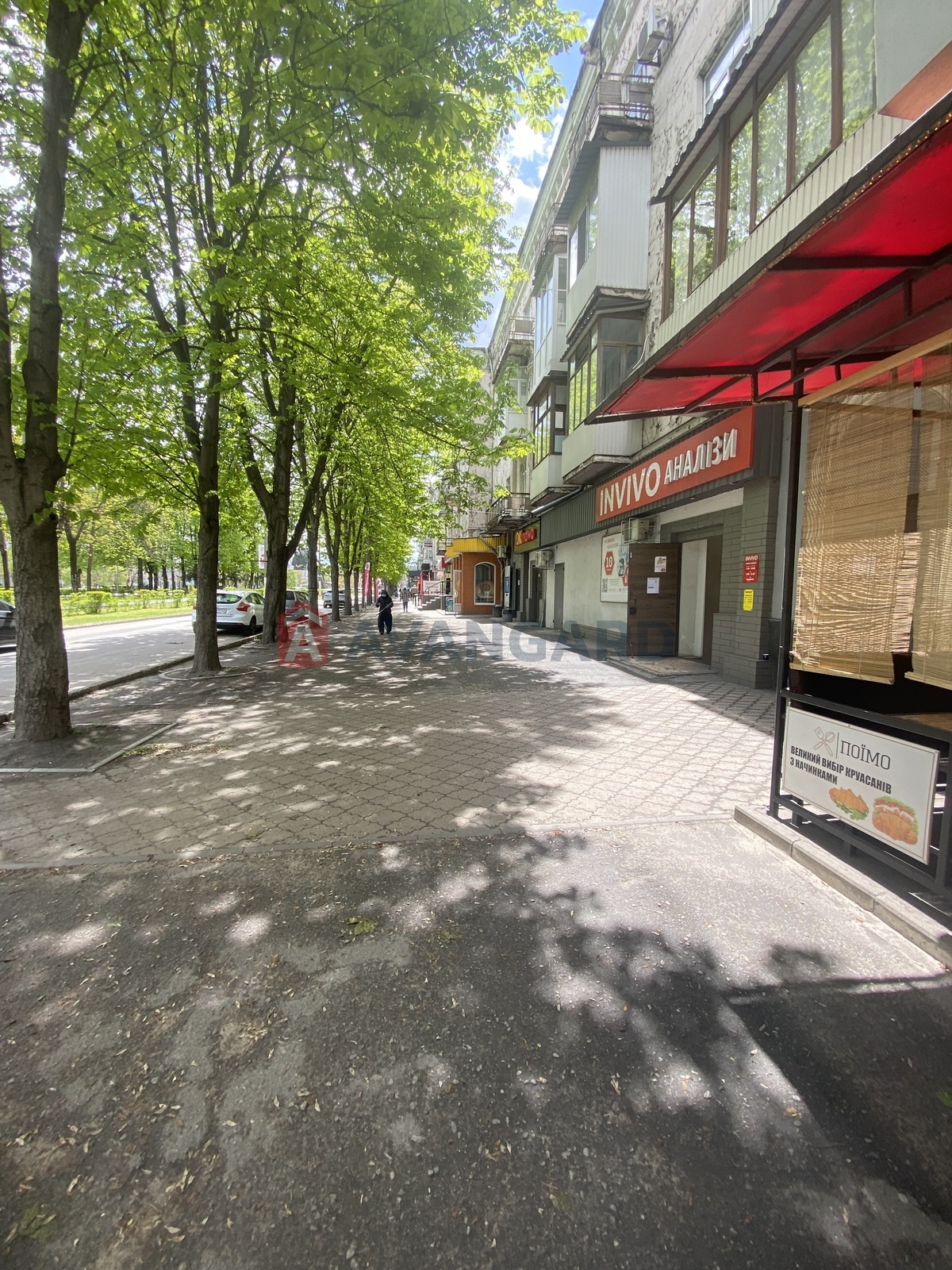 ����, ���, ��������, 62 ��.�. ���� 15