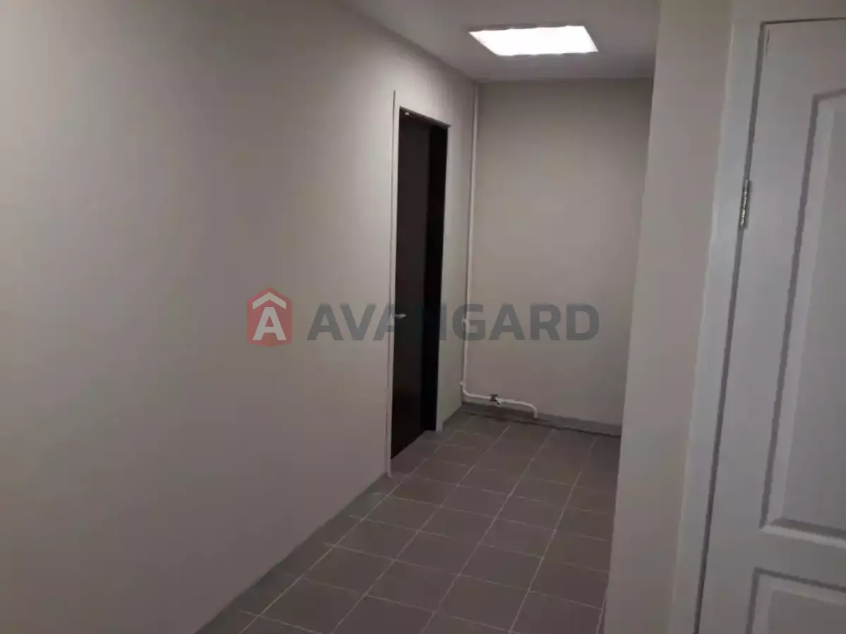 ���������� �����, 66 ��.�. ���� 6