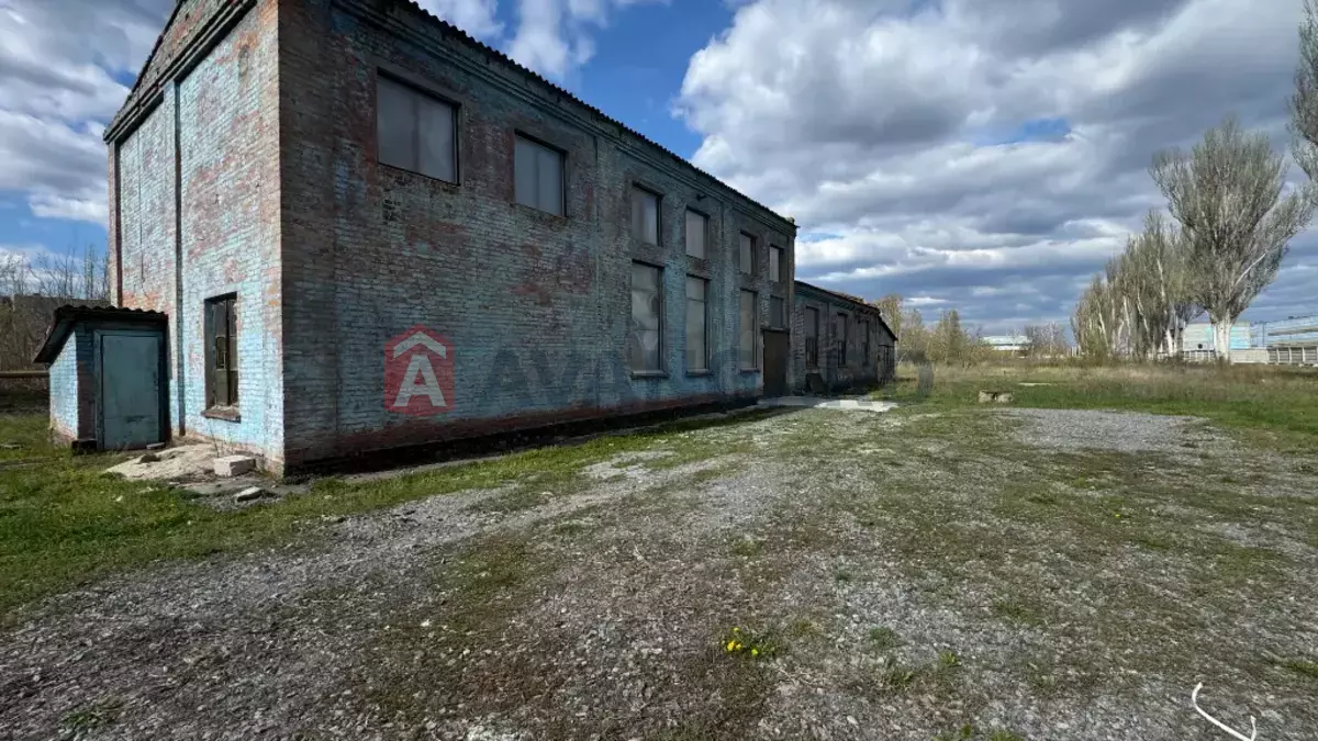 ���������� �����, 325 ��.�. ���� 14