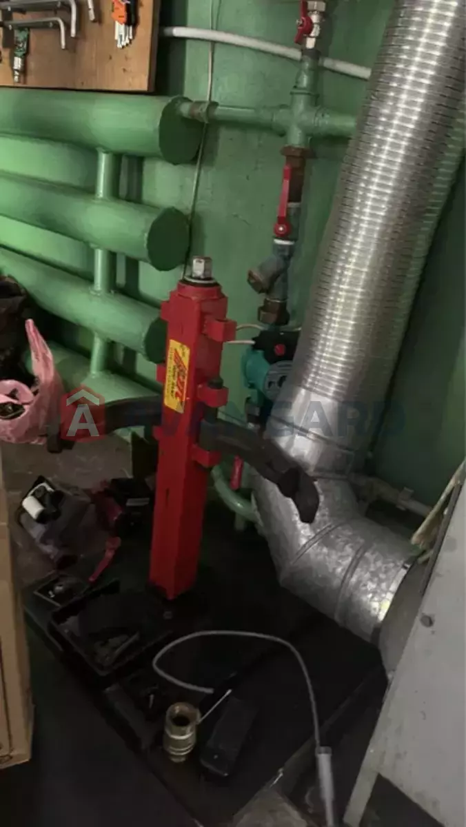 ����� ������, 95 ��.�. ���� 19