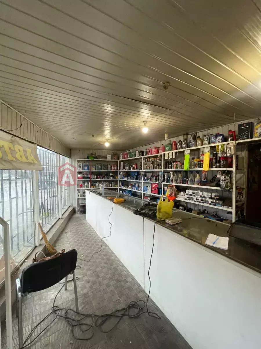 ���������� �����, 88 ��.�. ���� 5