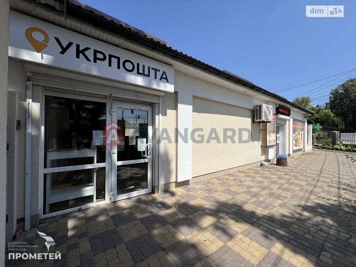 ���������� �����, 245 ��.�. ���� 7