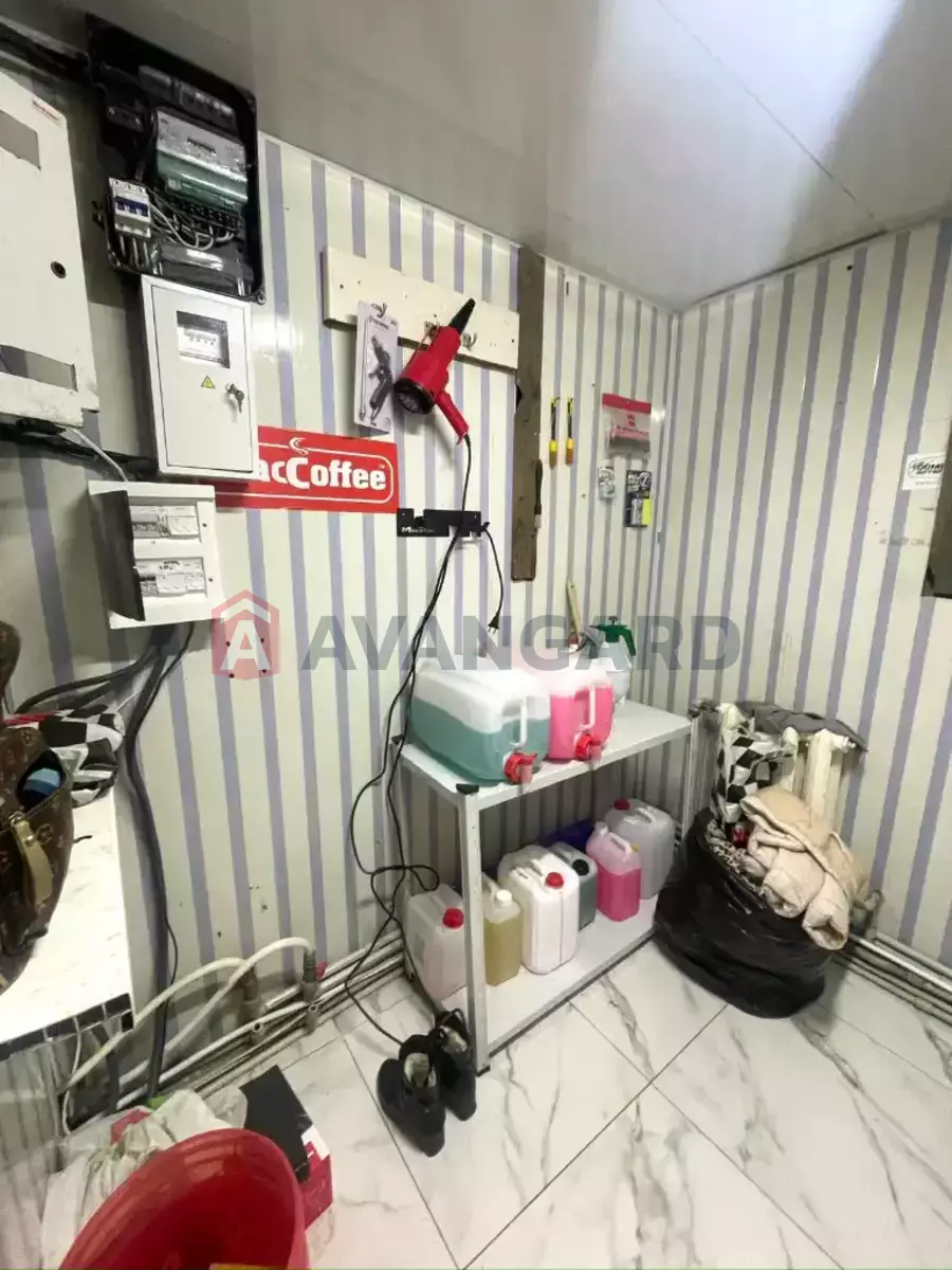 ����� �����, 50 ��.�. ���� 9