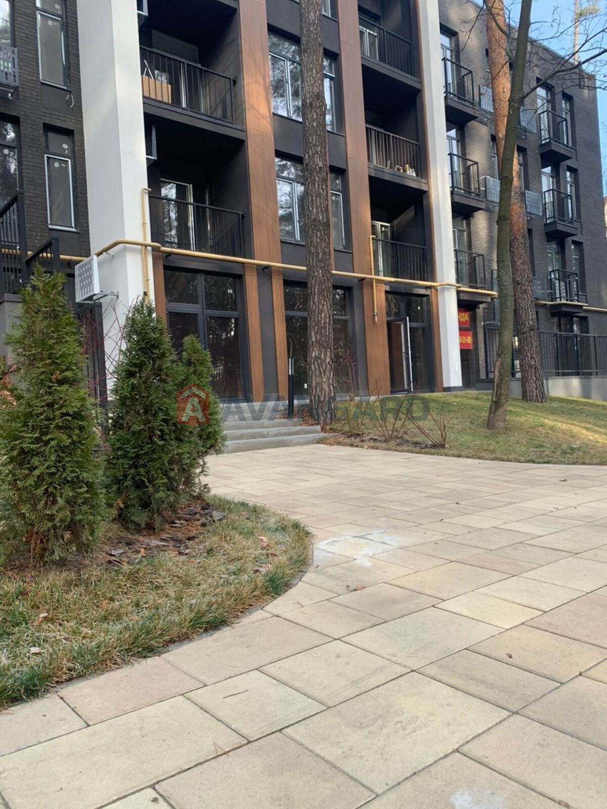 42 ��.�. ���� 3