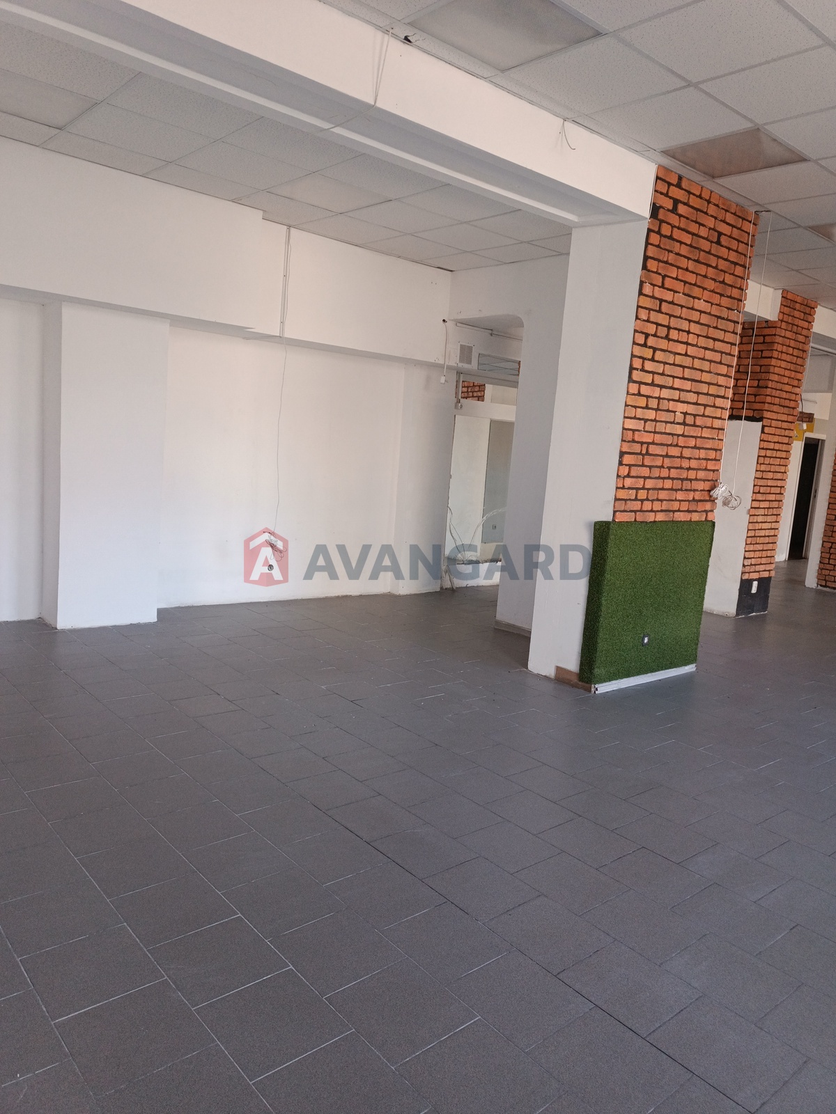 ���������� �����, ����, ���, ��������, ����� ������, 160 ��.�. ���� 8