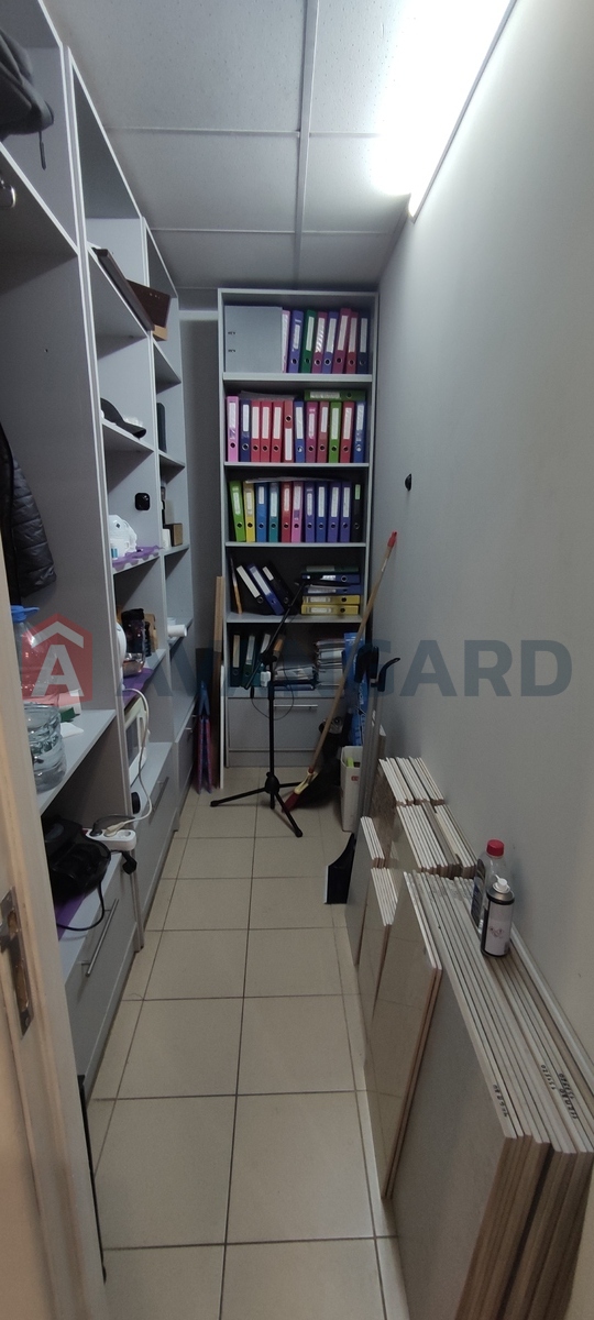 ���������� �����, 57 ��.�. ���� 8