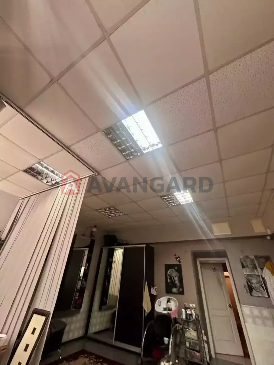 ���������� �����, 50 ��.�. ���� 14